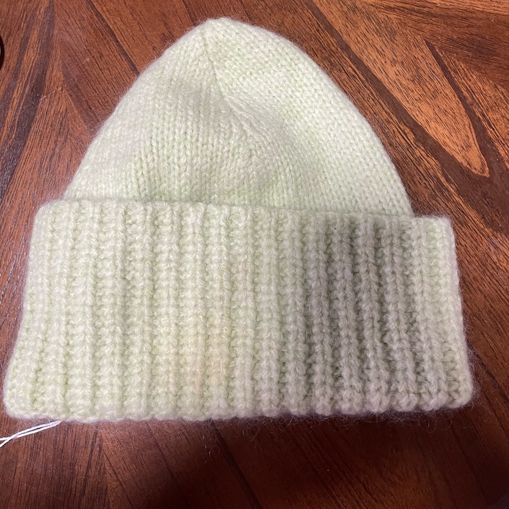 new with tags Madewell Beanie in light green color